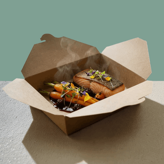 Kraft biobox container with gourmet salmon and vegetables