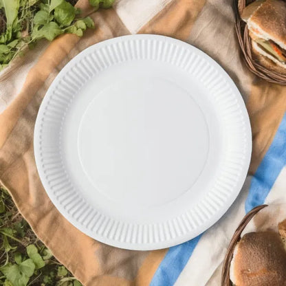 White paper plate with ribbed design on a blanket in a picnic scene