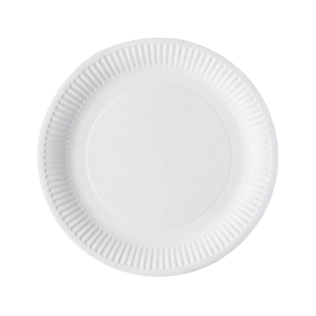 Greenspirit 9" Paper Plates – Compostable, Durable