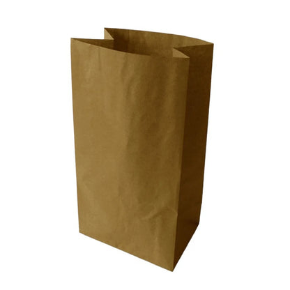 Brown paper bag on a white background