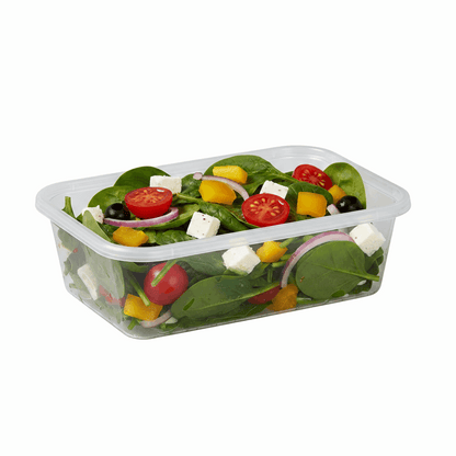 650ml Rectangular Microwavable Container — High Quality Packshot