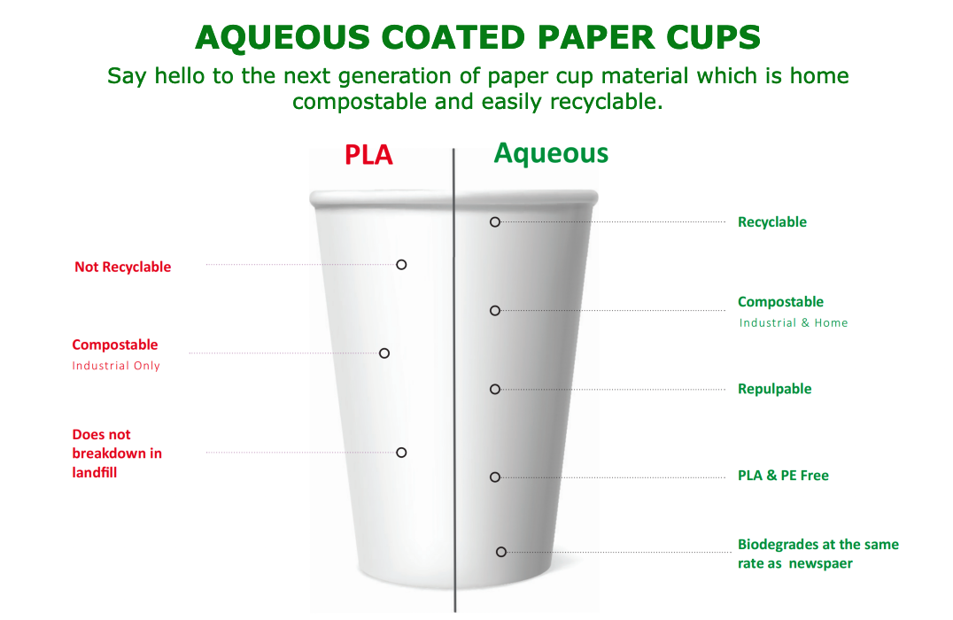 16oz Greenspirit Double Wall Compostable Coffee Cups | 500 Pack | Ireland