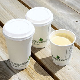16oz Greenspirit Double Wall Compostable Coffee Cups | 500 Pack | Ireland