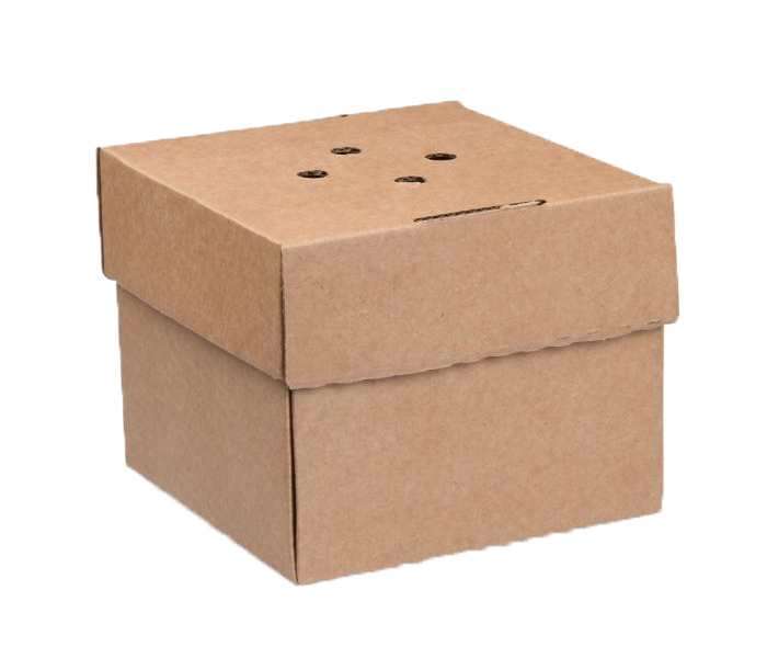 Disposable Burger Box | Eco Fiendly Burger Box | Compostible Burger Box