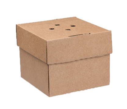 Disposable Burger Box | Eco Fiendly Burger Box | Compostible Burger Box