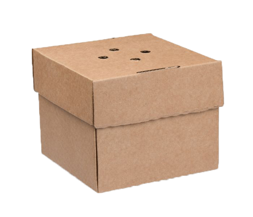 Corrugated Kraft Food Boxes | Compostable Takeaway Boxes Ireland (100/Pack)