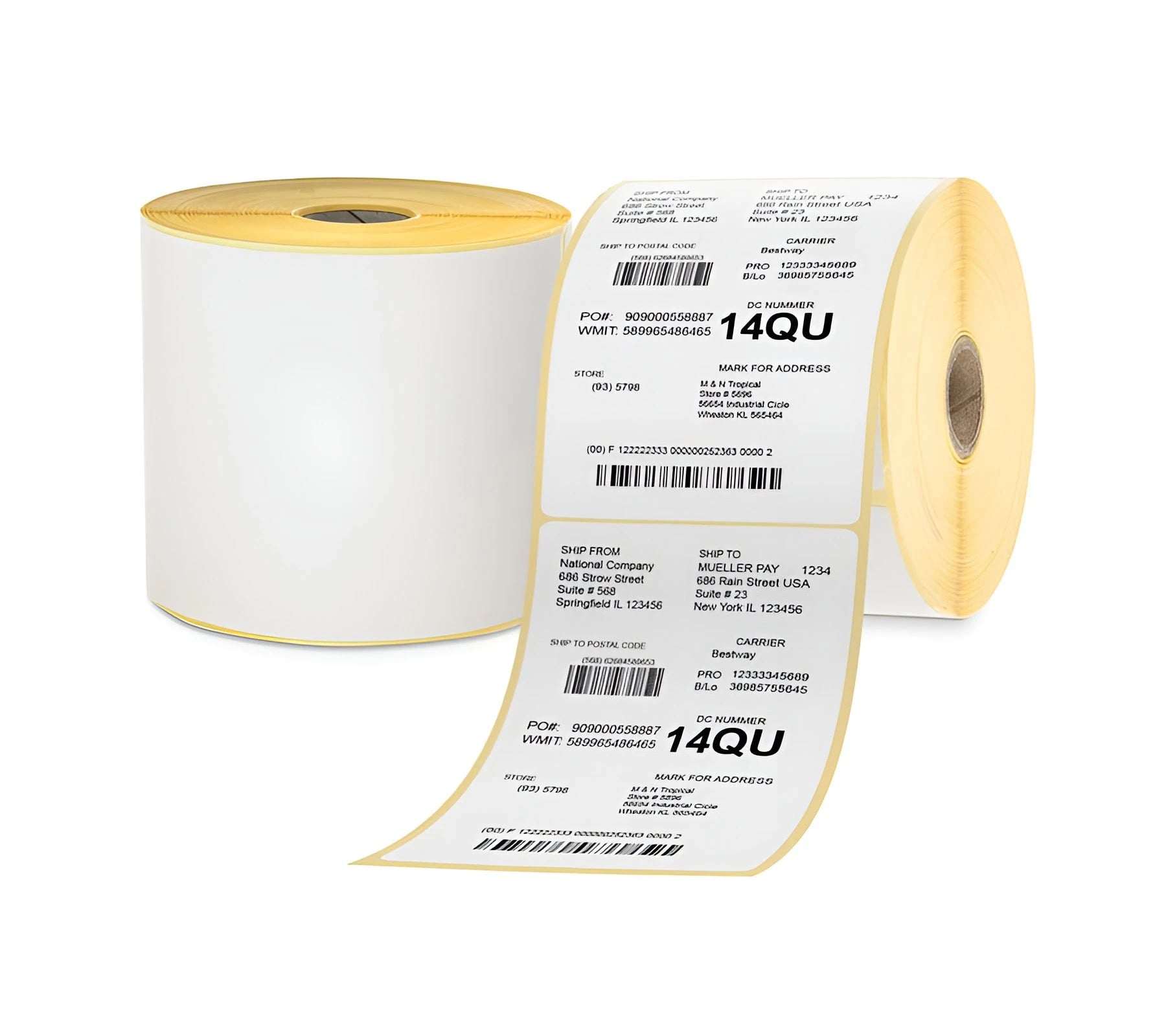 Roll of Zebra 800264-605 / 800284-605 address labels with a single label peeled off, on a white background