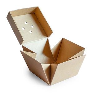 Disposable Burger Boxes